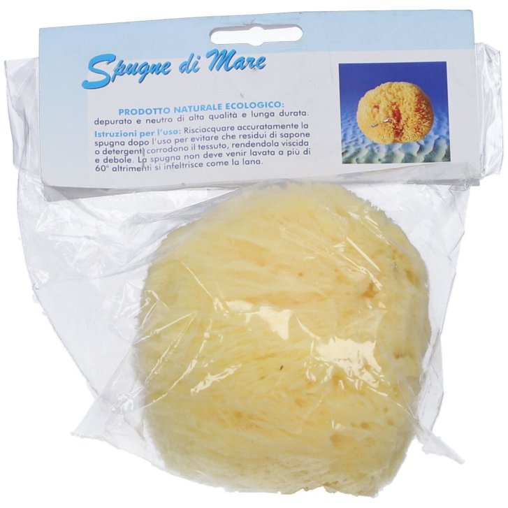 Spugna Mare Naturale Extra Large Formato XL - Biemmefarma Snc