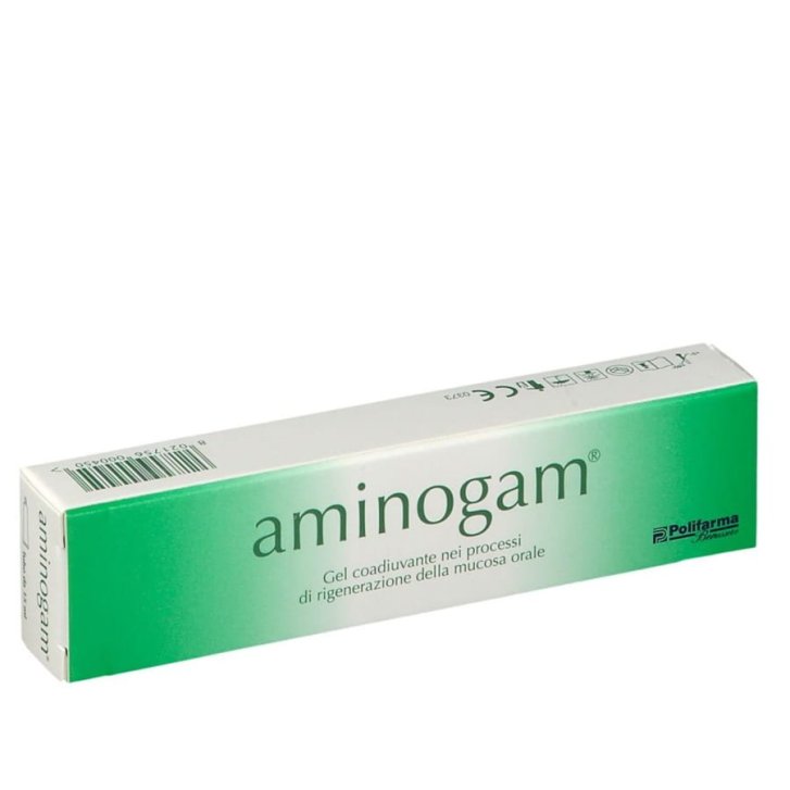 Aminogam 6 Gel Dispositivo Medico per Rigenerazione Mucosa Orale 15 ml - Professional Dietetics Spa