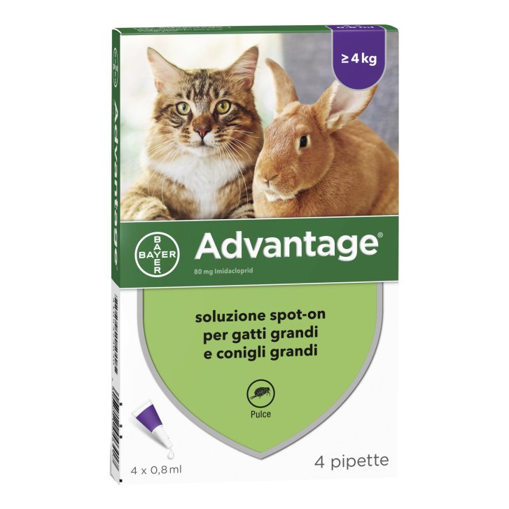 Advantage Antiparassitario Spot-On Antipulci per Gatti e Conigli Grandi ≥4 kg 4 Pipette da 0,8 ml - Elanco