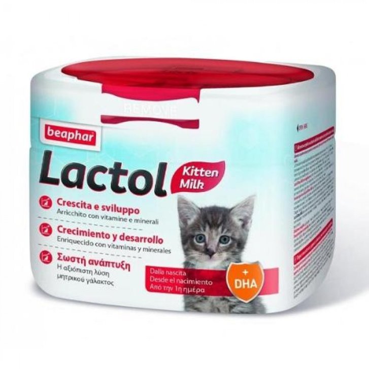 Lactol Latte Gattino Mangime Complementare Sostitutivo del Latte con Taurina e DHA in Polvere 250g - Beaphar