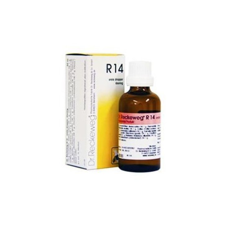 Reckeweg R14 Gocce Omeopatico 22ml - Dr.Reckeweg Reckeweg R14 Gocce Omeopatico 22ml - Dr.Reckeweg