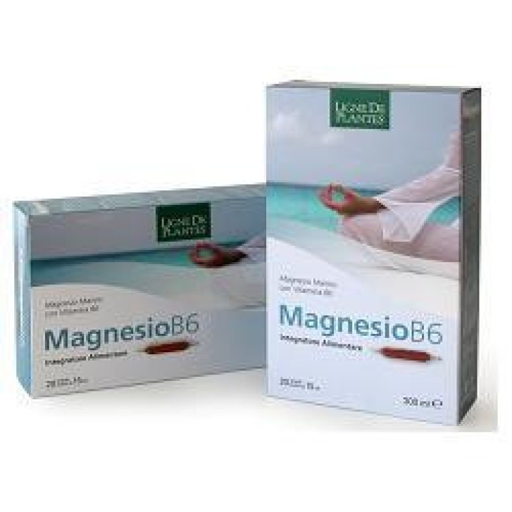 Integratore Magnesio e B6 Senza Glutine e Lattosio 20 Ampolle 15ml - Natura Service