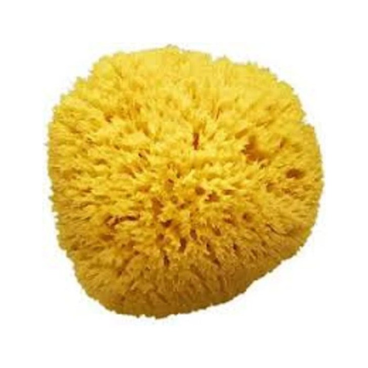 Amidosan Spugna da Bagno Naturale Morbida Assorbente Spugna di Mare N.13 - Farmacon