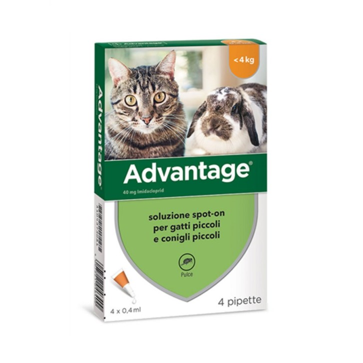 Advantage Spot-On Antipulci per Gatti e Conigli Piccoli Imidacloprid 4 Pipette - Advantage Advantage Spot-On Antipulci per Gatti e Conigli Piccoli Imidacloprid 4 Pipette - Advantage