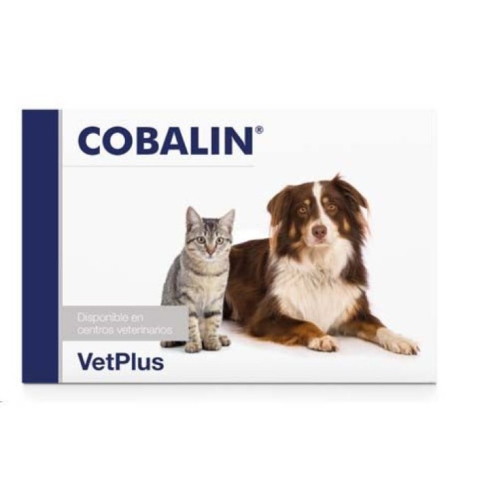 Cobalin Integratore Vitamina B12 B9 Supporto Nutrizionale Cani Gatti 60 Capsule - Vetplus Cobalin Integratore Vitamina B12 B9 Supporto Nutrizionale Cani Gatti 60 Capsule - Vetplus