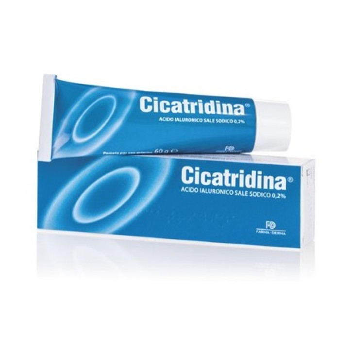 Cicatridina Pomata Lenitiva e Cicatrizzante per Lesioni Cutanee 60 g - CICATRIDINA Cicatridina Pomata Lenitiva e Cicatrizzante per Lesioni Cutanee 60 g - CICATRIDINA