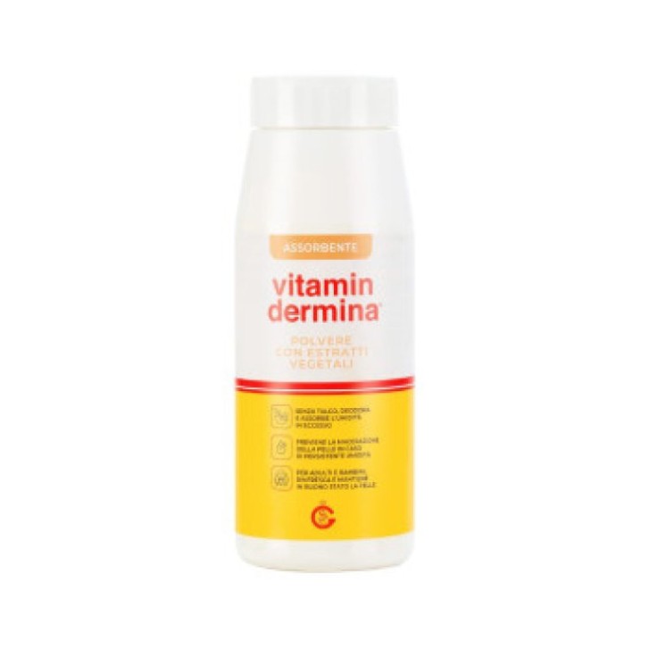 Polvere Estratto Vegetale 100 g - Vitamindermina