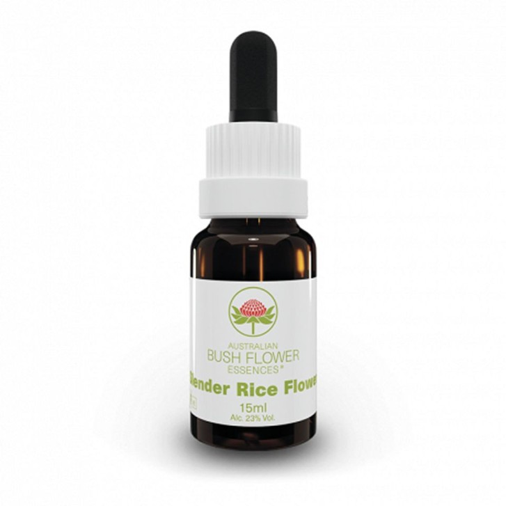 Slender Rice Flower Essenza Singola 15ml - Australian Bush Flower Essences