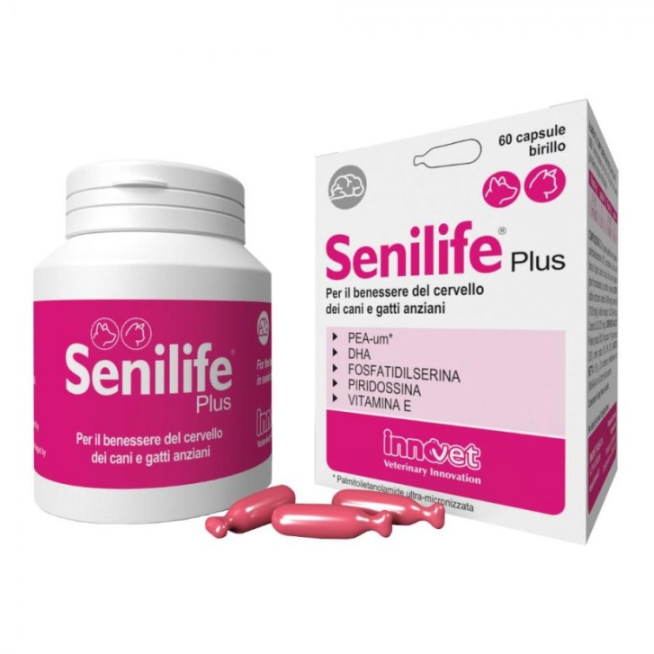 Senilife Plus Integratore per Cani e Gatti Anziani 60 Capsule - Innovet