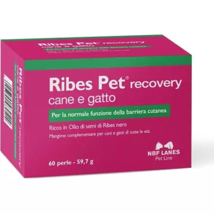 Ribes Pet Recovery Integratore per Cani e Gatti 60 Perle - N.B.F. Lanes