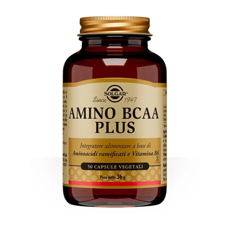Amino BCAA Plus Integratore con Vitamina B6 50 Capsule Vegetali - Solgar Amino BCAA Plus Integratore con Vitamina B6 50 Capsule Vegetali - Solgar