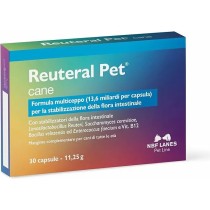 Reuteral Pet Cane Probiotici Integratore Benessere Intestinale Cani 30 Capsule - NBF Lanes