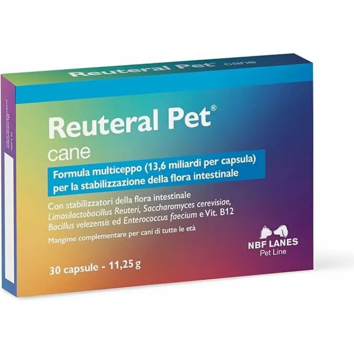 Reuteral Pet Cane Probiotici Integratore Benessere Intestinale Cani 30 Capsule - NBF Lanes