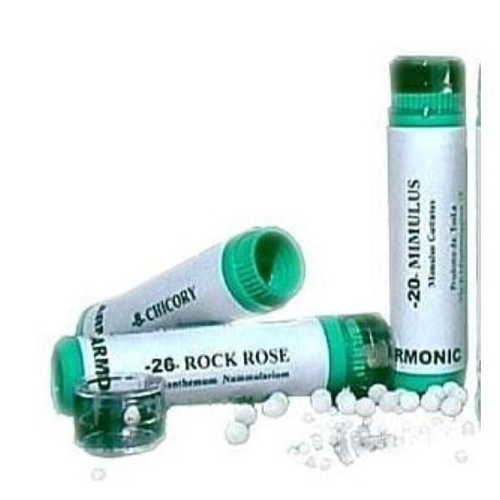 Armonic 15 Holly Granuli 70g - Tesla