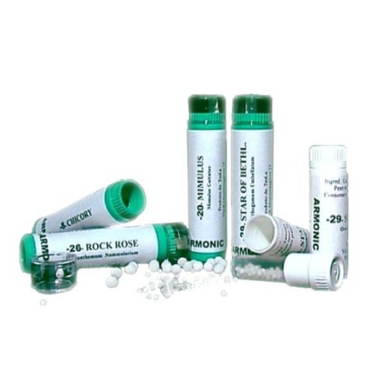 Armonic G2 70gr Integratore Alimentare - Tesla