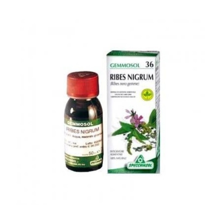 Gemmosol 36 Ribes Nero Macerato Glicolico 100 ml - Specchiasol