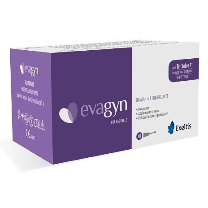 Evagyn Ginhyal Deli Gel Vaginale Idratante e Lubrificante 8 Applicatori Evagyn Ginhyal Deli Gel Vaginale Idratante e Lubrificante 8 Applicatori