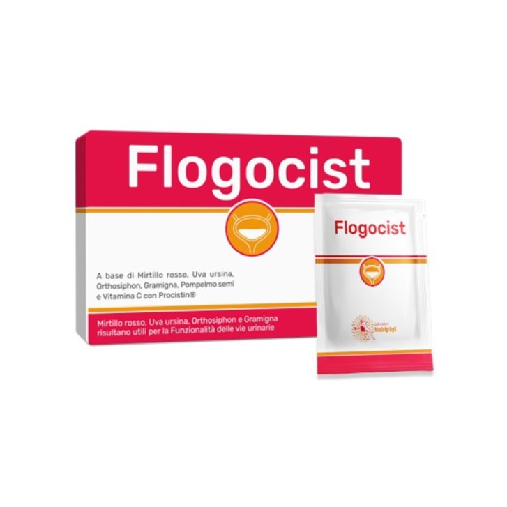 Flogocist Integratore per Vie Urinarie 10 Bustine - Anvest Health