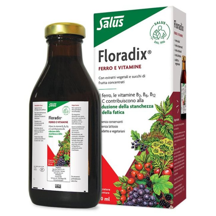 Floradix Integratore di Ferro e Vitamine B1 B2 B6 B12 e C con Estratti d\'Erbe 500ml - Salus