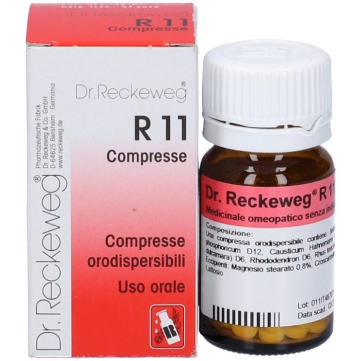 Reckeweg R11 Medicinale Omeopatico per Dolori Muscolari e Reumatici 100 Compresse - Dr. Reckeweg Reckeweg R11 Medicinale Omeopatico per Dolori Muscolari e Reumatici 100 Compresse - Dr. Reckeweg