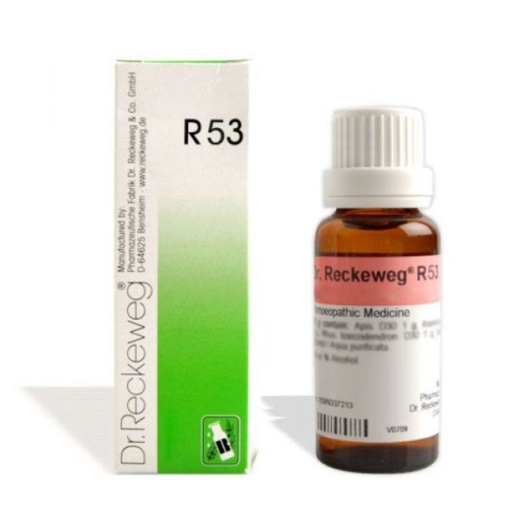 Reckeweg R53 Medicinale Omeopatico Gocce per Acne e Eczemi 22ml - Dr. Reckeweg