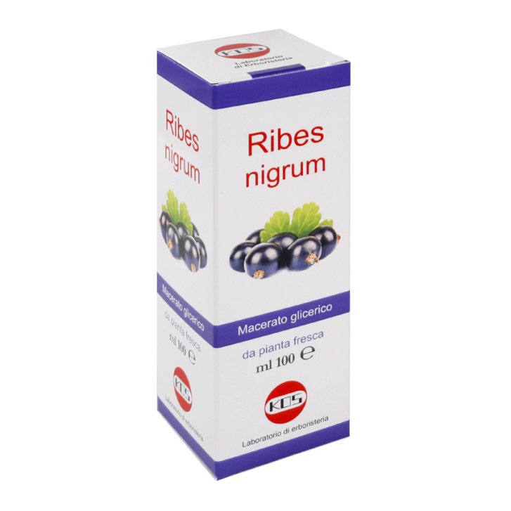 Ribes Nigrum Macerato Glicerico Integratore per Naso e Gola Gocce 100ml - Kos