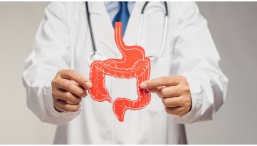 Settembre e microbiota: come cambia l’intestino dopo l’estate?