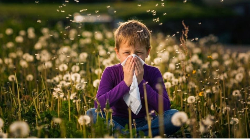 Allergia ai pollini: cosa prendere e come alleviare i sintomi