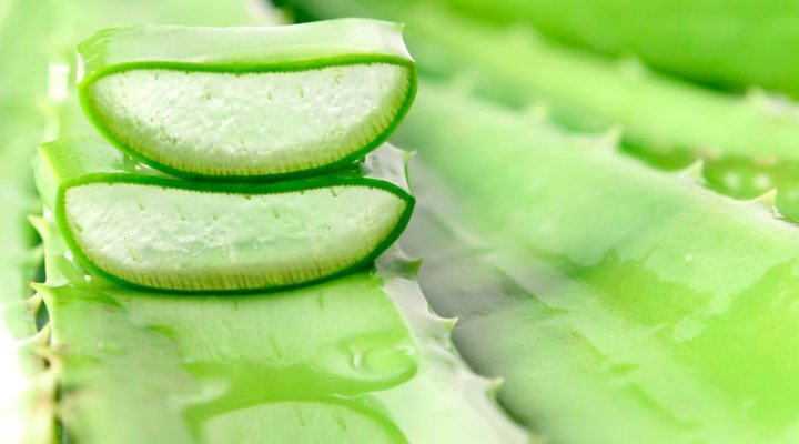 Aloe vera per la pelle: benefici reali, usi corretti e falsi miti