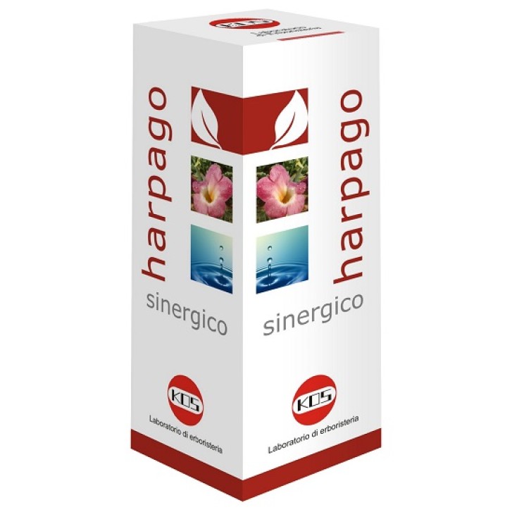 HARPAGO SINERGICO GTT 100ML KO