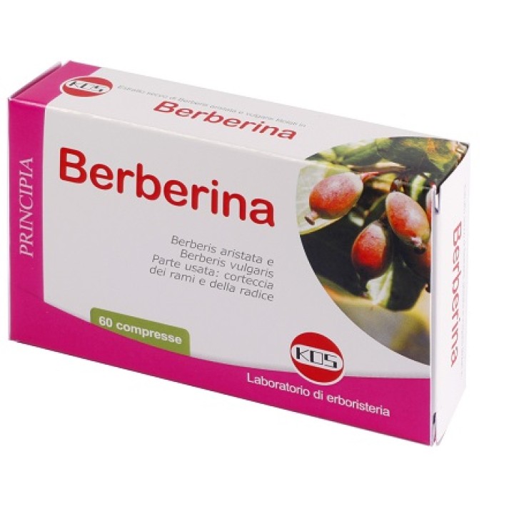 BERBERINA 60CPR KOS