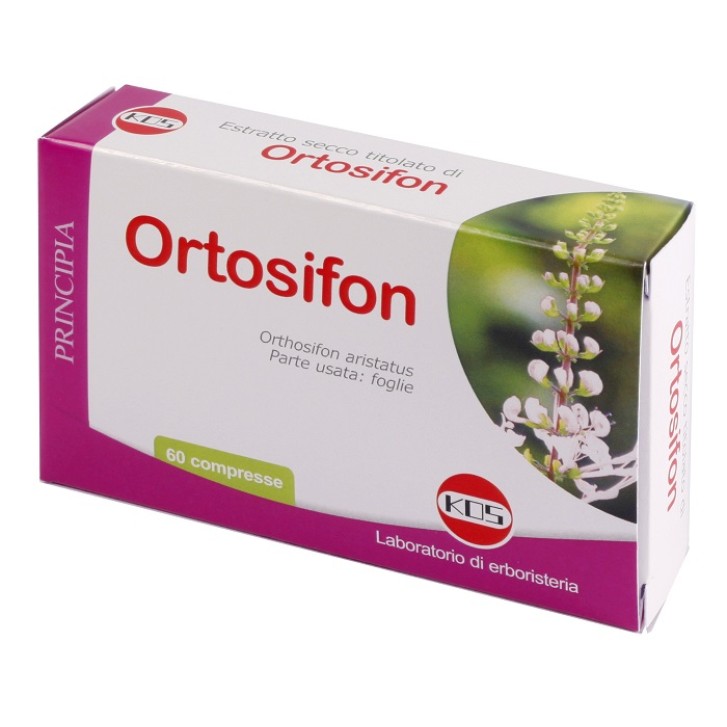 ORTOSIPHON ESTR SEC 60CPR