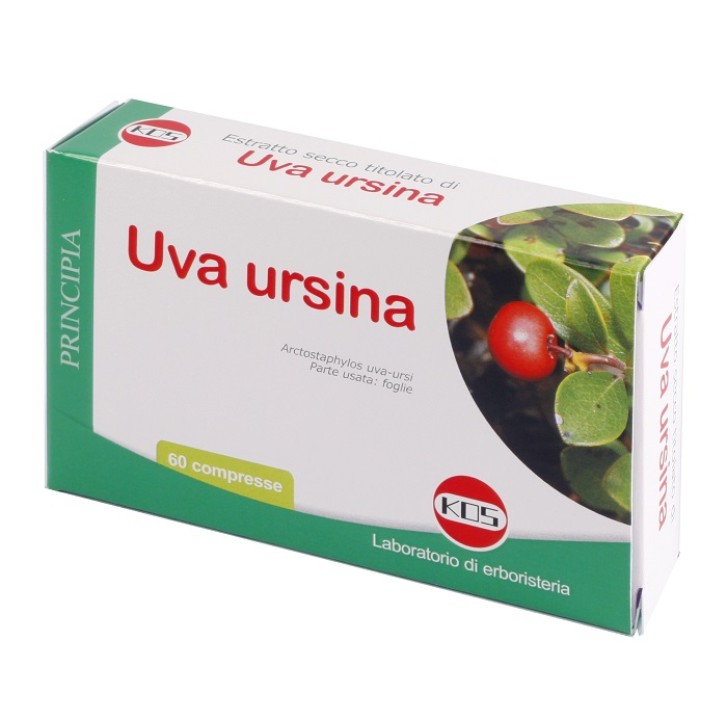 UVA URSINA E.S. 60 CPR 300MG K