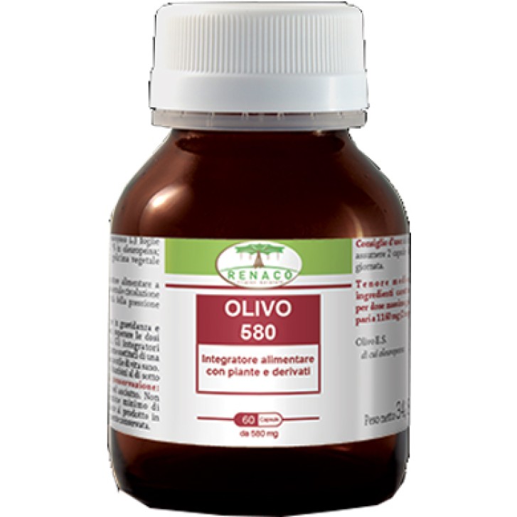 OLIVO 580 60CPS
