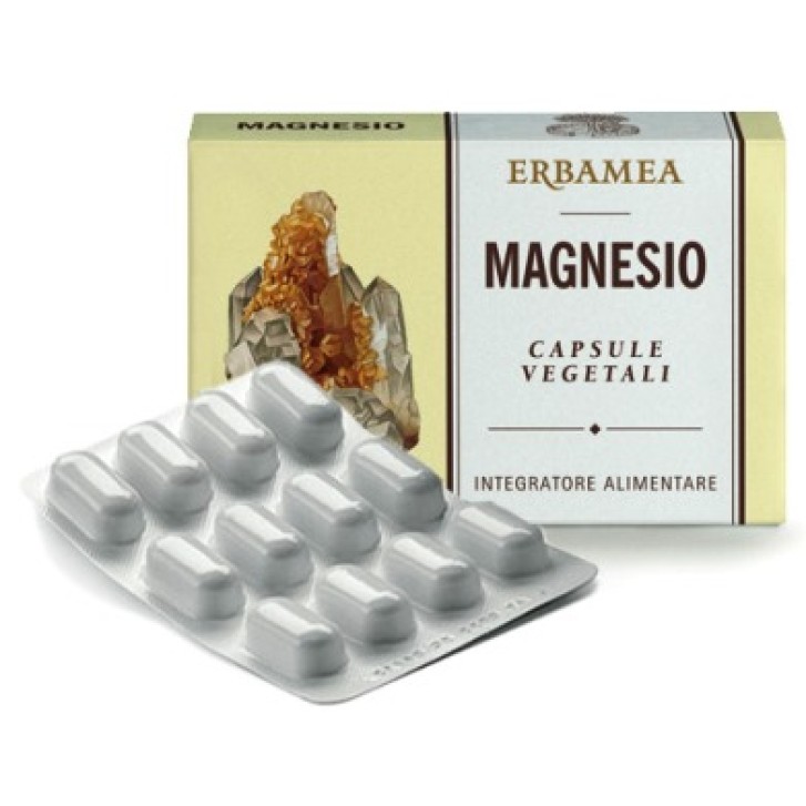 MAGNESIO 24CPS 1200MG ERBAMEA