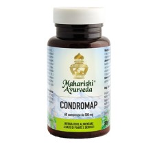 CONDROMAP 60TAV 30G