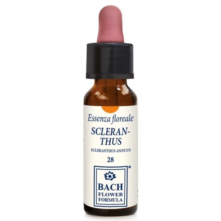 SCLERANTHUS ORIGIN 10ML GTT EBV