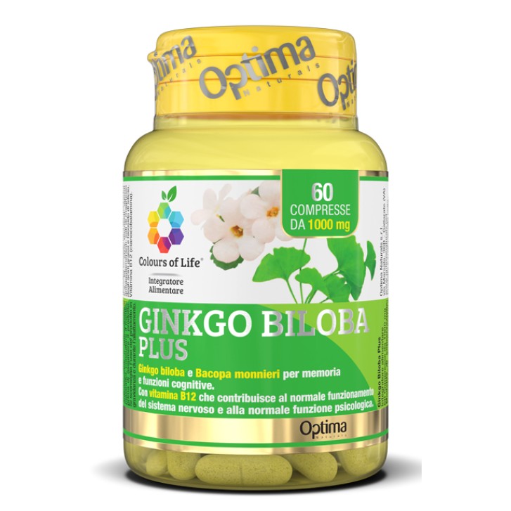 GINKGO BILOBA 60 CPR 1000MG