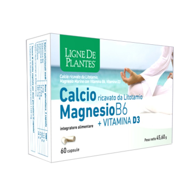 CALCIO MAGNESIO B6+VITD3 60CPS
