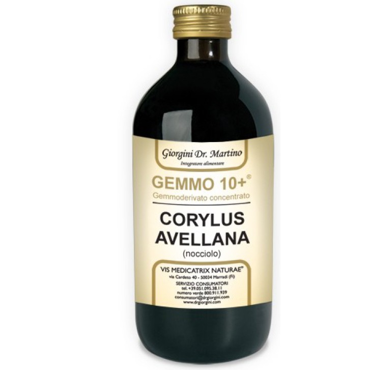 NOCCIOLO 500ML ANALCO GEM 10+