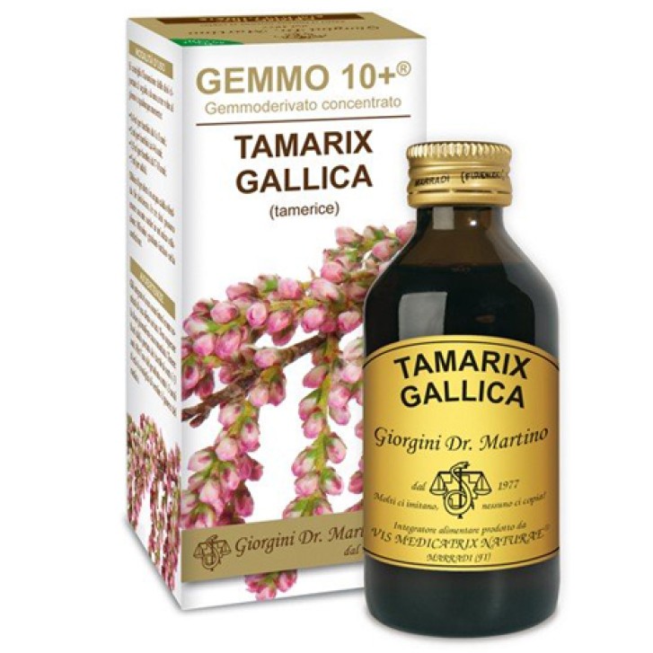 TAMERICE ANAL.GEMMO 10+ 100ML GI