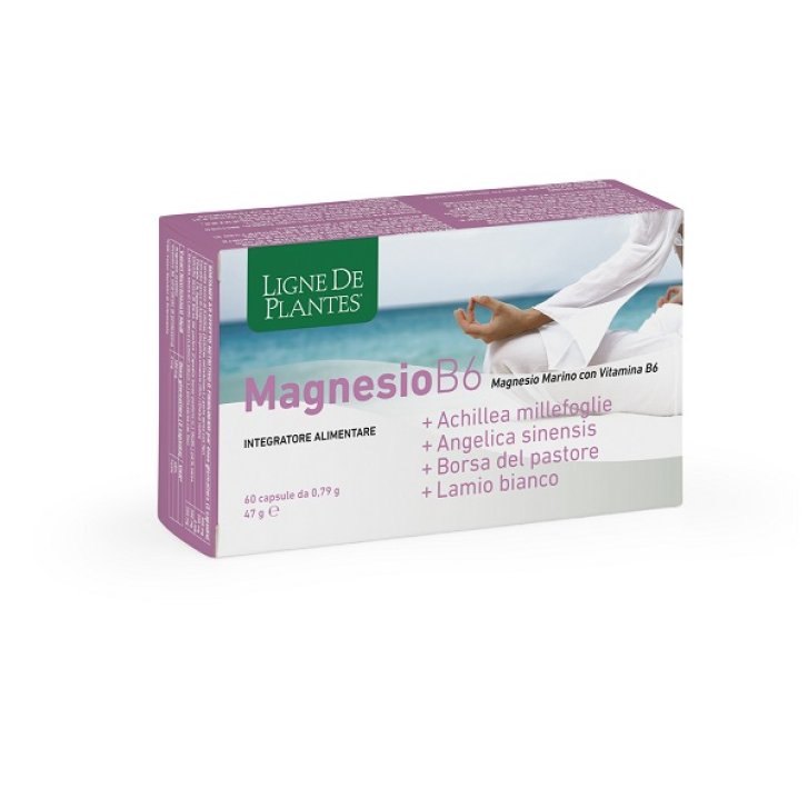 MAGNESIO B6+ACHILLEA+ANGELICA+