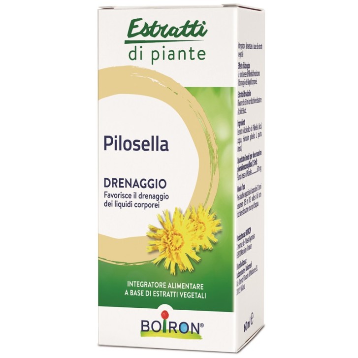 PILOSELLA EI 60ML BO