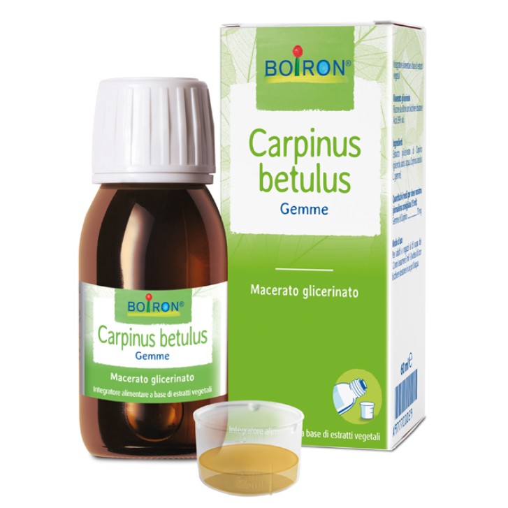 CARPINUS BETULUS MG 60ML INT