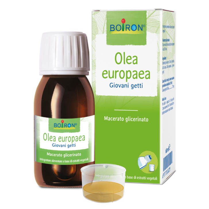 OLEA EUROPAEA MG 60ML INT BO