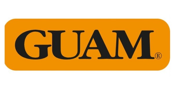 GUAM PANTADREN SALINO+3PZ100ML