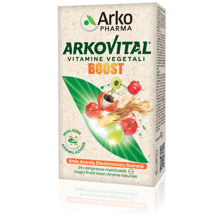 ARKOVITAL BOOST 24CPR MASTIC.(VI