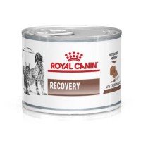 V RC DOG/CAT RECOVERY 195GR
