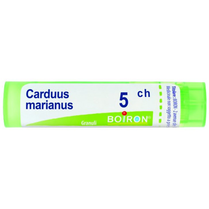 CARDUUS MARIANUS 5CH GR