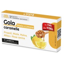 SANAVITA GOLA LIM/MIELE 24CPR